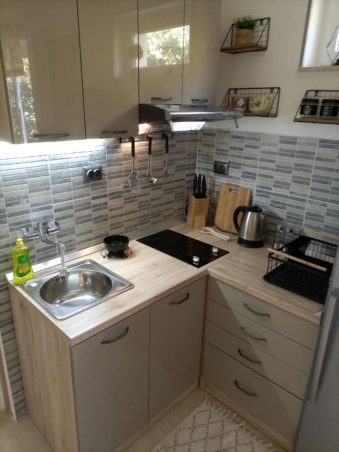 Studio Apartment Lile Trstenik  Ngoại thất bức ảnh